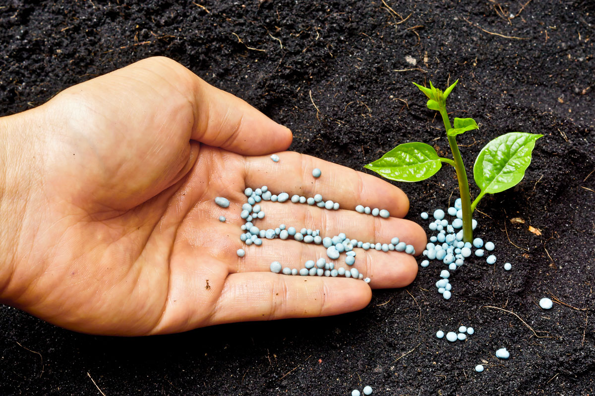 CONCIMI E FERTILIZZANTI