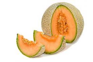 GUIDA ALLA COLTIVAZIONE DEL MELONE