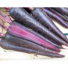 CAROTA DEEP PURPLE